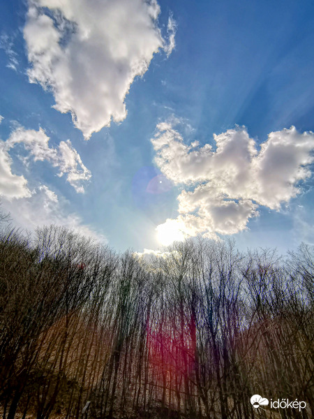 Észlelési fényképek