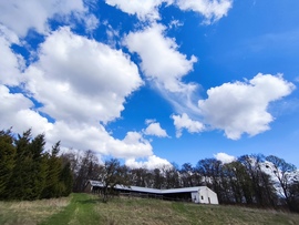 munkacsi_gyongyi fotója