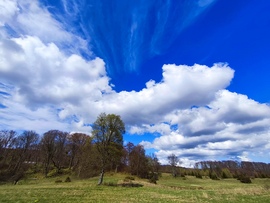munkacsi_gyongyi fotója