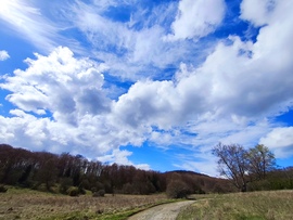 munkacsi_gyongyi fotója