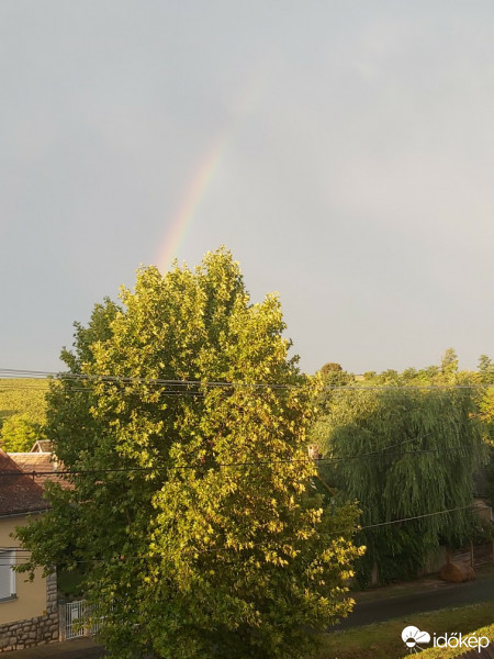 Észlelési fényképek