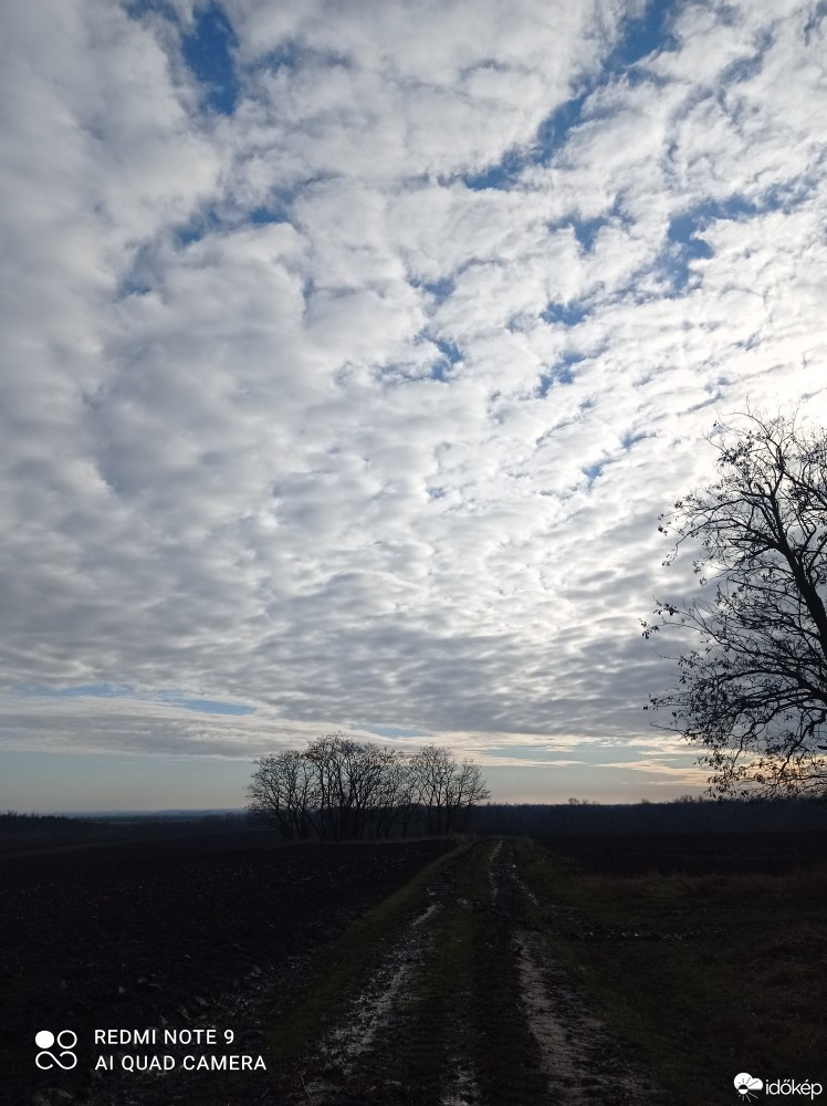 Észlelési fényképek