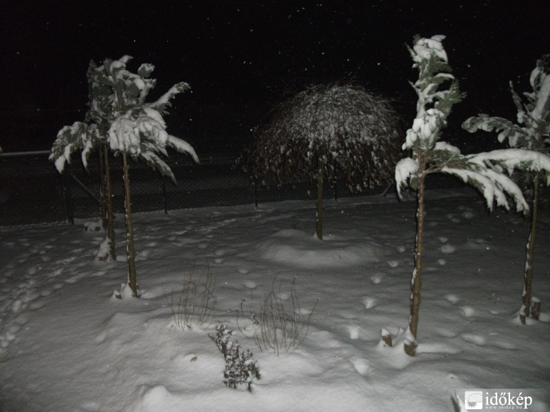 Észlelési fényképek