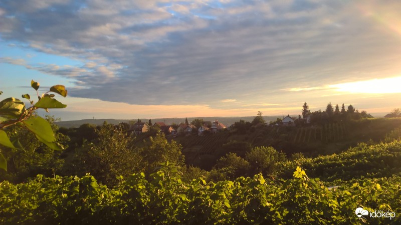Alkonyat a szőlőhegyen