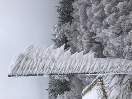 2023.01.26_Gyönyörű zúzmara képződés a Kőszegi-hegyen 650 méter felett. Szélcsend, -3 C fok, 20 cm hó.