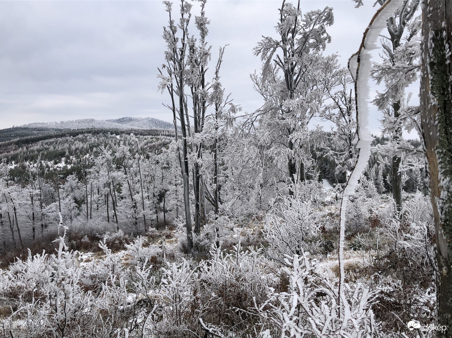 2023.01.26_Gyönyörű zúzmara képződés a Kőszegi-hegyen 650 méter felett. Szélcsend, -3 C fok, 20 cm hó.