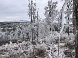 2023.01.26_Gyönyörű zúzmara képződés a Kőszegi-hegyen 650 méter felett. Szélcsend, -3 C fok, 20 cm hó.