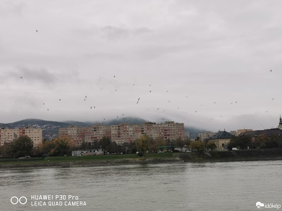 Észlelési fényképek