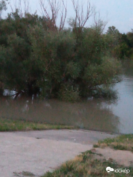 Esteledik az áradó Dunánál