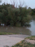 Esteledik az áradó Dunánál