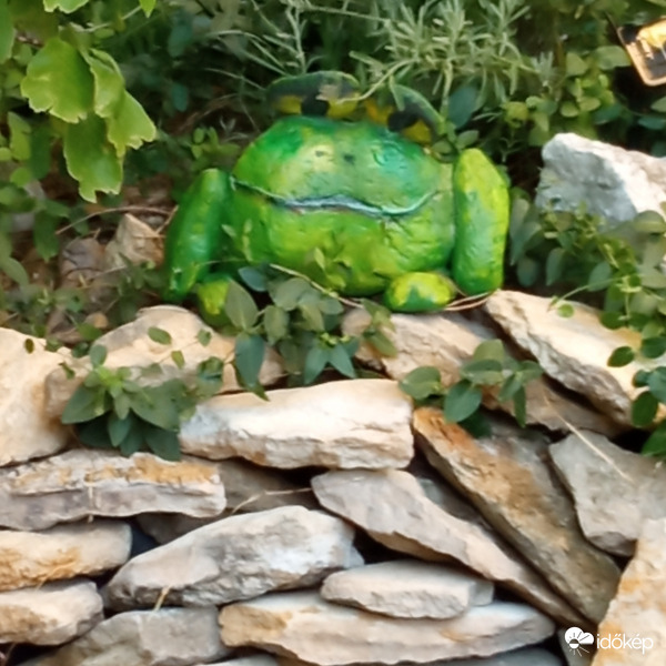 Felfedeztem séta közben :)