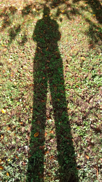 Reggeli "napfény" óriás :D