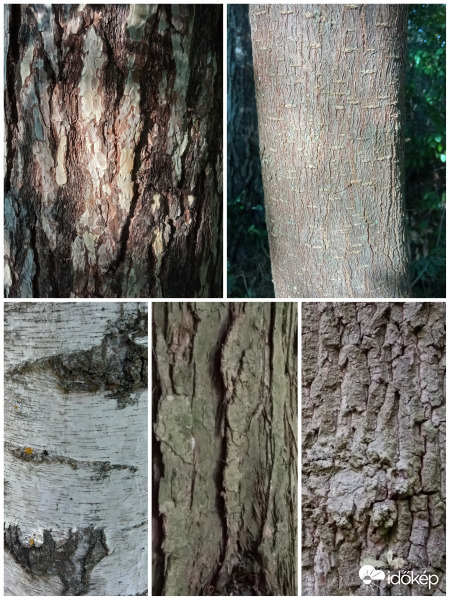 "Mindannyian mások vagyunk"