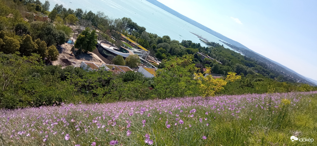 Balatonakarattya 2022. 06. 12.