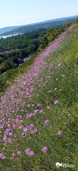 Balatonakarattya 2022. 06. 12.