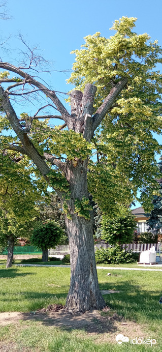 Balatonakarattya 2022. 06. 12.