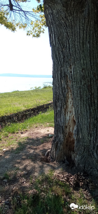 Balatonakarattya 2022. 06. 12.