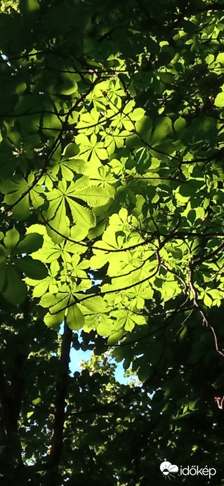 Balatonakarattya 2022. 06. 12.