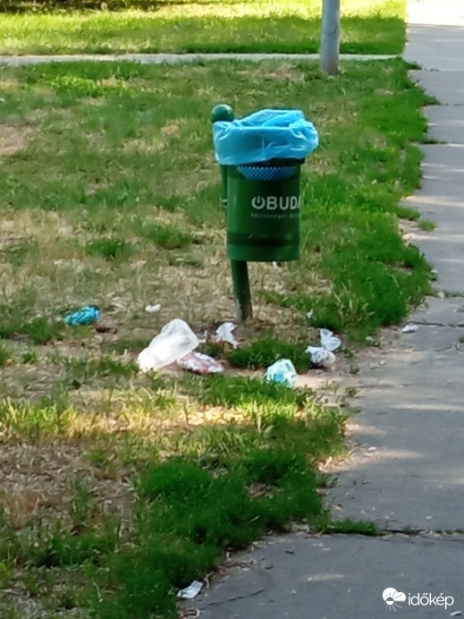 Varjú és szarka fosztogatja a nyitott szemeteseket