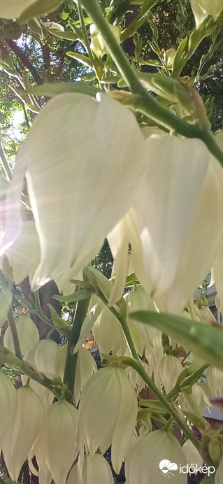 ☺️ jó éjszakát mindenkinek!