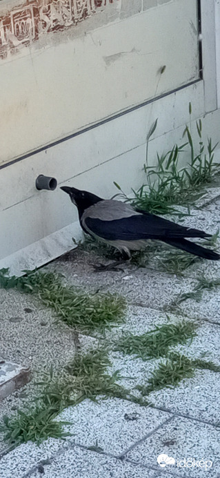  ... és amikor tovább mentem, visszafordultam :D