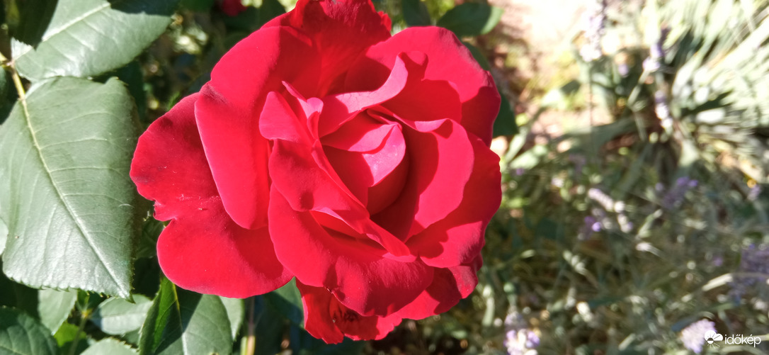 Ez lemaradt majdnem, jó éjszakát kívánok vele!