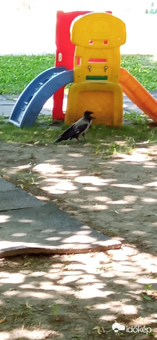 Upsz, összecsúsztak ;D