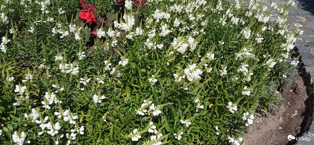 Délelőtti szeles :)