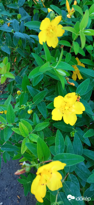 Délelőtti szeles :)