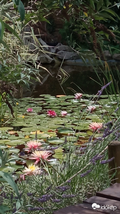 Egy ma már zárva lévő kis étterem tavacskája