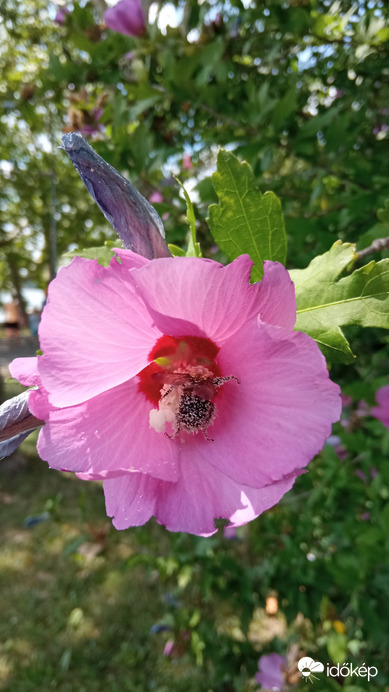 Hétvégén is nyakig a munkában :)