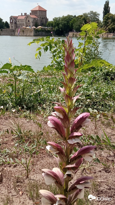 Látkép változatok a Tatai várról :)