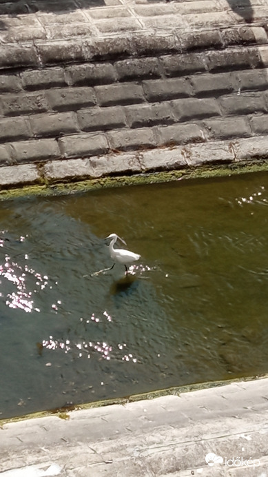 Katonás lépések a vízben :)