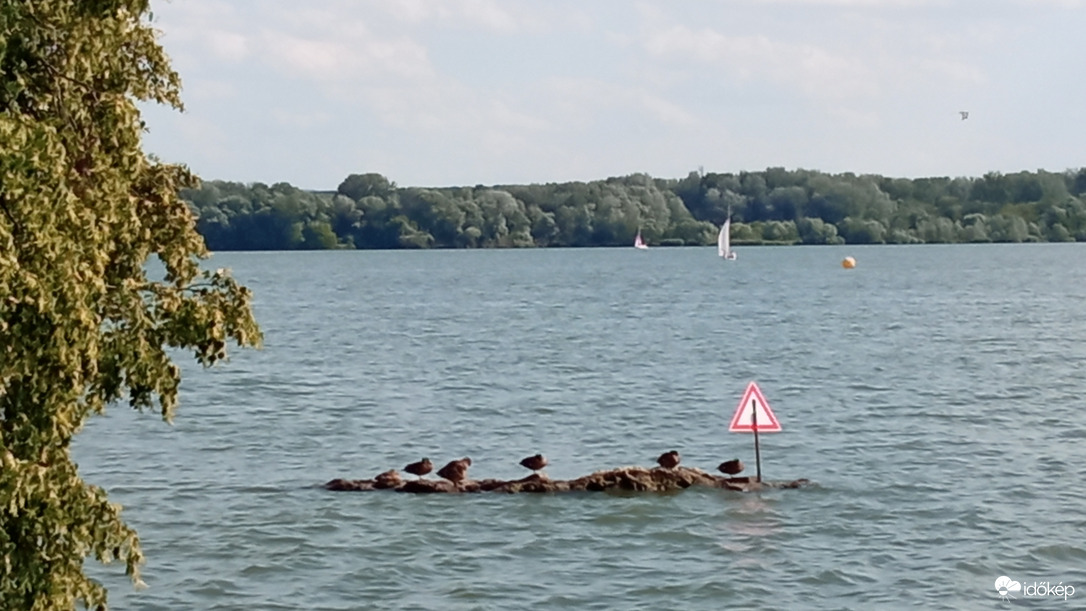 Viszlát, Tatai Öreg tó :)