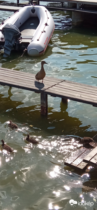Tegnapi történet 5/4  egy, kettő, három és négy :)