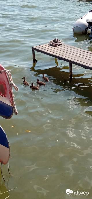 Tegnapi történet 5/5  hát ezért...☺️