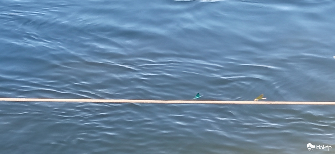 Hajókikötő .. és akik őrzik 