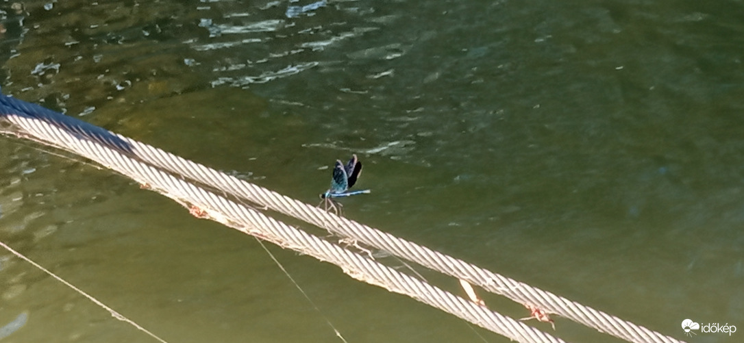 Hajókikötő .. és akik őrzik 