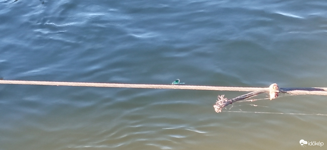 Hajókikötő .. és akik őrzik 