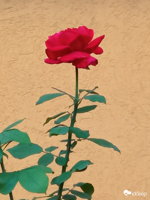 :) ilyen szép álmokat kívánok!