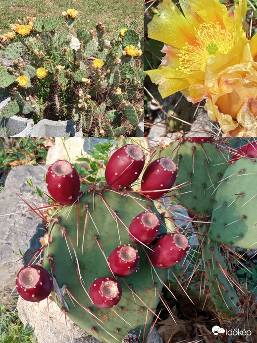 Júniusban és ma ☺️