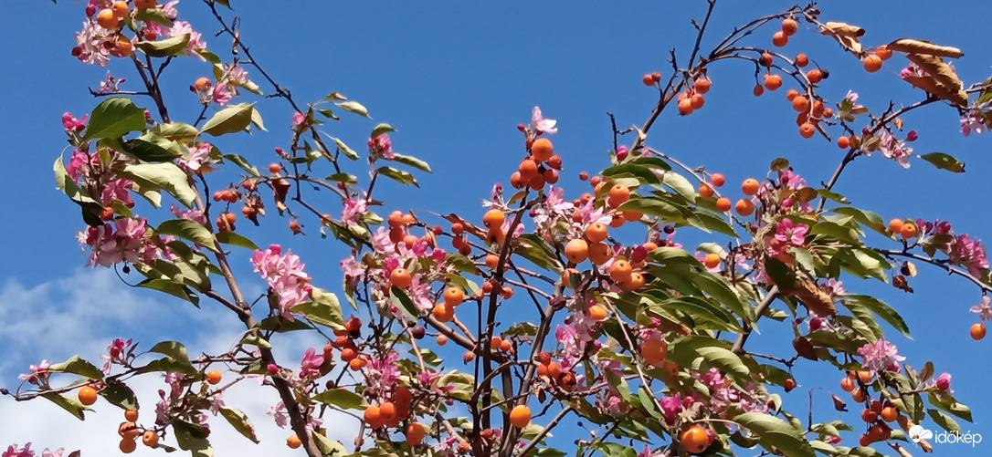 Budapest - egy óra múlva a szél szétfújta a sötét felhőket :)