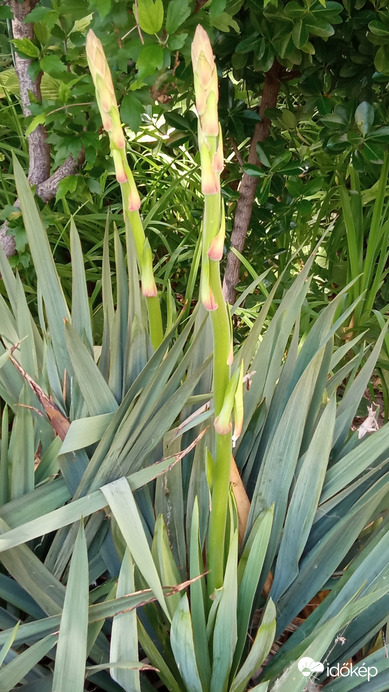 Nemsokára nyílik ;)