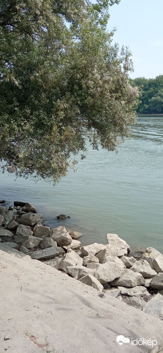 Június 21-én a Duna - a két fa között 