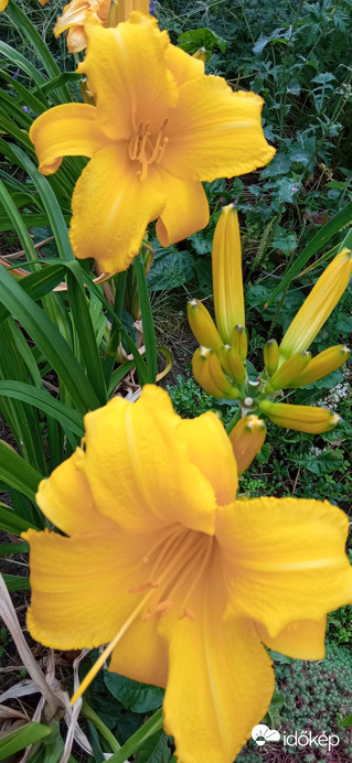 Séta a napsütésben ☺️