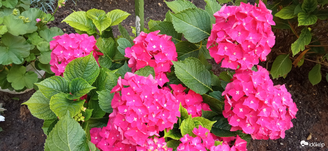 Séta a napsütésben ☺️