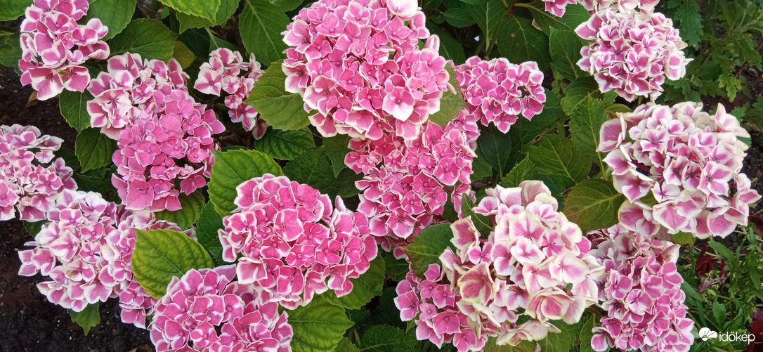 Séta a napsütésben ☺️