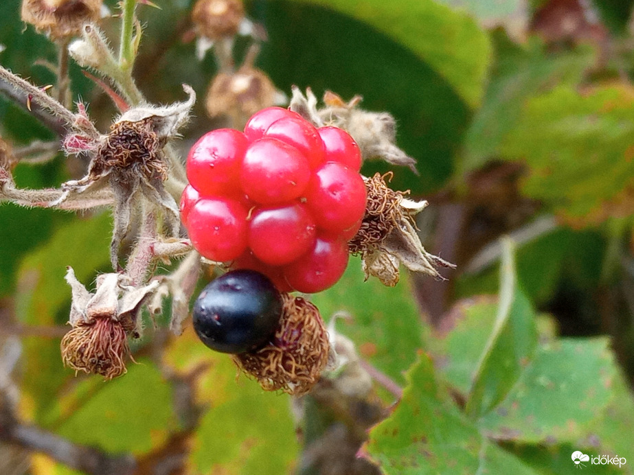 A hegyen csak 30⁠ºC, kellemes szél és jó levegő 
