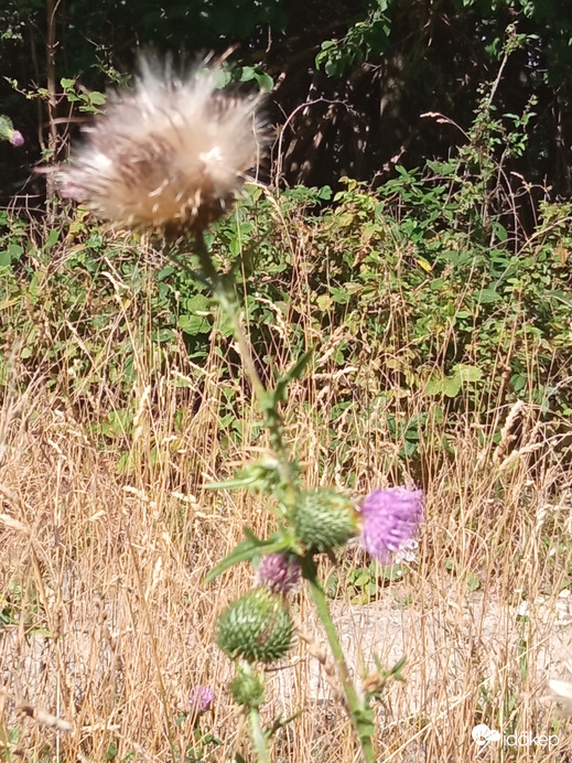 A hegyen csak 30⁠ºC, kellemes szél és jó levegő 