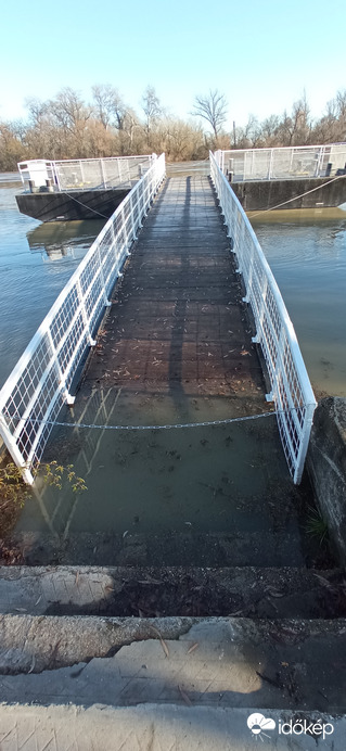 Az áradó Duna Pünkösdfürdőnél 